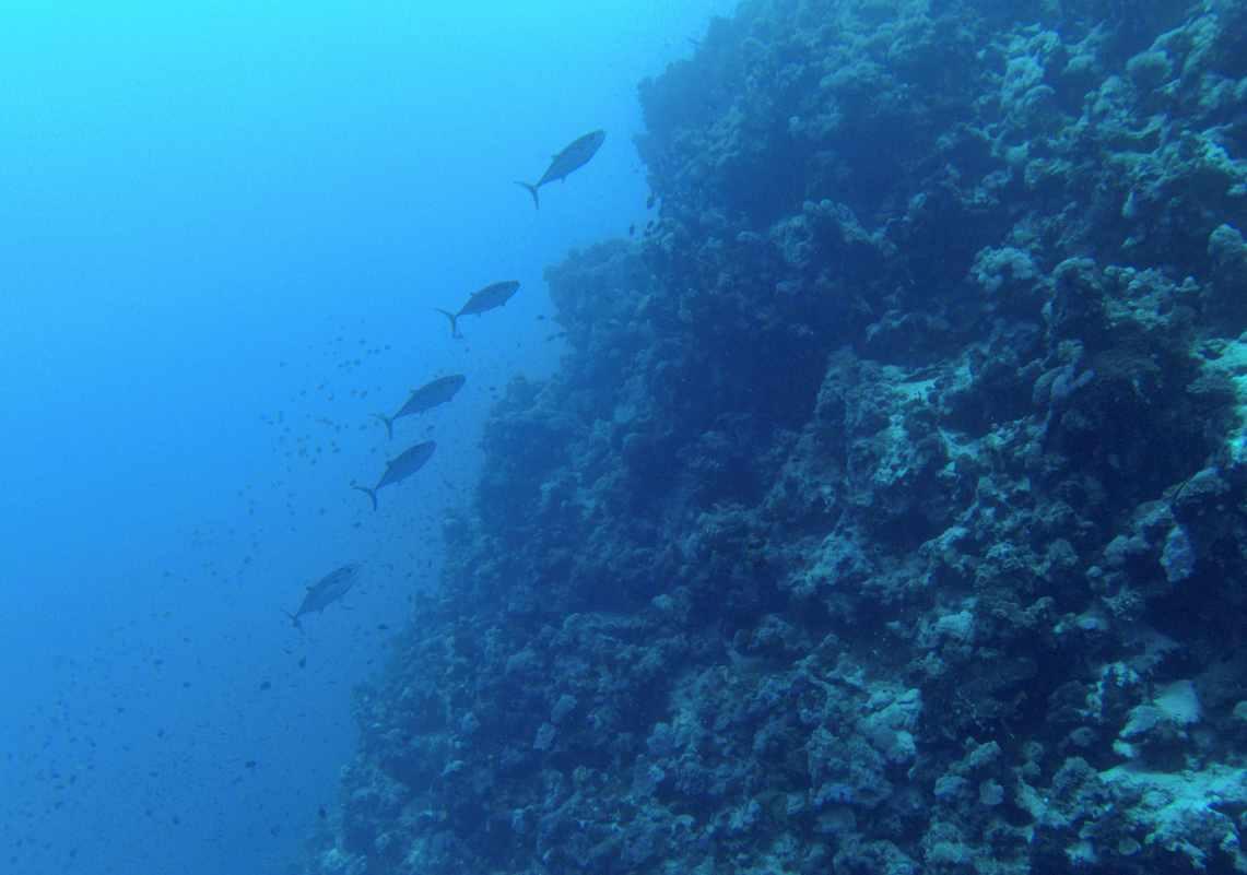 逃离办公室房间